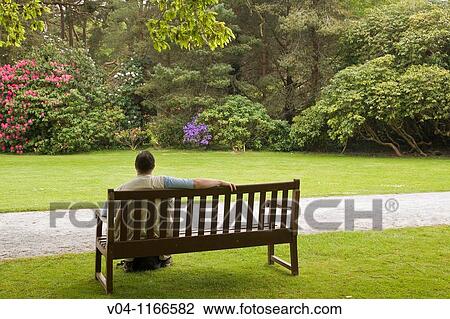 Stock Image - Man enjoying the peace and quiet of Muckross House and Gardens in Ireland, Europe. Fotosearch