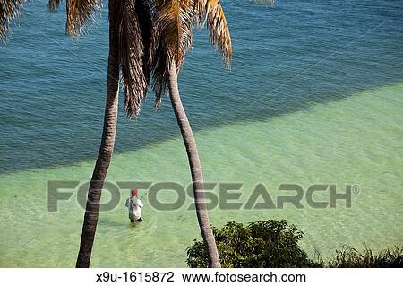 man fishing at Calusa Beach in Bahia Honda State Park, Florida Keys, Florida, USA View Large Photo Image Stock Image - man fishing at Calusa Beach in Bahia Honda State Park, Florida Keys, Florida, USA. Fotosearch