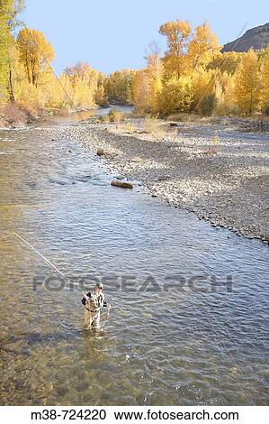 Man fly fishing on the Bigwood River, Sun Valley, Idaho, USA View Large Photo Image Stock Image - Man fly fishing on the Bigwood River, Sun Valley, Idaho, USA. Fotosearch