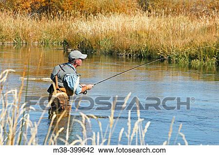 Man fly fishing. Silver Creek, Idaho. USA View Large Photo Image Stock Image - Man fly fishing. Silver Creek, Idaho. USA. Fotosearch