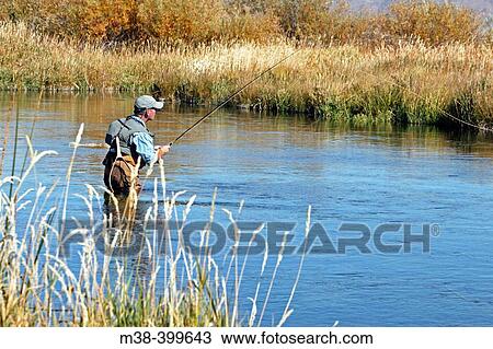 Man fly fishing. Silver Creek, Idaho. USA View Large Photo Image Stock Image - Man fly fishing. Silver Creek, Idaho. USA. Fotosearch