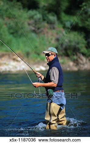 Man fly fishing the Elk river near Steamboat Springs, Colorado, USA View Large Photo Image Stock Photograph - Man fly fishing the Elk river near Steamboat Springs, Colorado, USA. Fotosearch