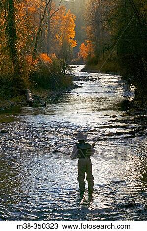 Man flyfishing on Warm Springs Creek near Sun Valley, Idaho. USA View Large Photo Image Stock Image - Man flyfishing on Warm Springs Creek near Sun Valley, Idaho. USA. Fotosearch