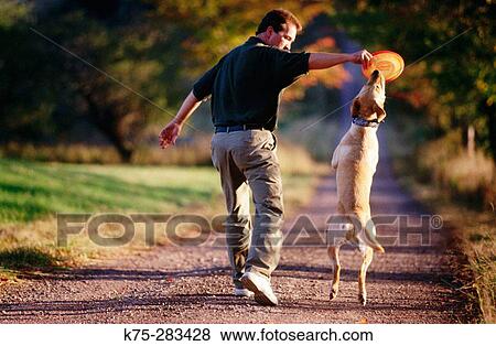 Man, frisbee and dog View Large Photo Image Stock Photo - Man, frisbee and dog. Fotosearch