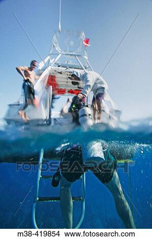 Man getting out of the water from diving. Grand Cayman Island. Cayman Islands. Caribbean. UK View Large Photo Image Picture - Man getting out of the water from diving. Grand Cayman Island. Cayman Islands. Caribbean. UK. Fotosearch