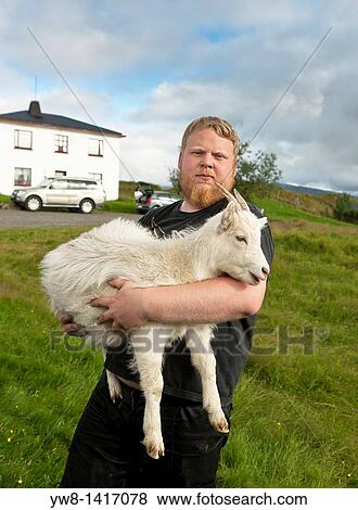 Man holding billy goat, Iceland View Large Photo Image Stock Photo - Man holding billy goat, Iceland. Fotosearch