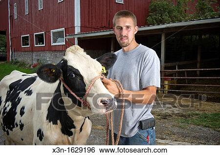 Stock Photograph - Man holding reigns of Holstein dairy cow while standing in front of a barn. Fotosearch