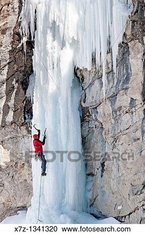 Man ice climbing a route called The Boy Scout which is rated WI, 4 and located in Lamoille Canyon at The Ruby Mountains in northeastern Nevada View Large Photo Image Stock Image - Man ice climbing a route called The Boy Scout which is rated WI, 4 and located in Lamoille Canyon at The Ruby Mountains in northeastern Nevada. Fotosearch