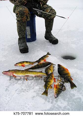 Stock Image - Man ice fishing. Fotosearch