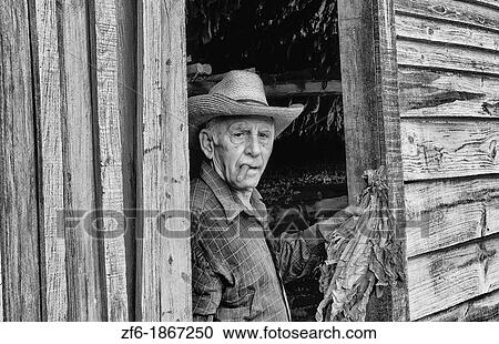 Man in front of tobacco farm house shed house in Pinar del Rio Province in rural Cuba Caribbean View Large Photo Image Stock Image - Man in front of tobacco farm house shed house in Pinar del Rio Province in rural Cuba Caribbean. Fotosearch