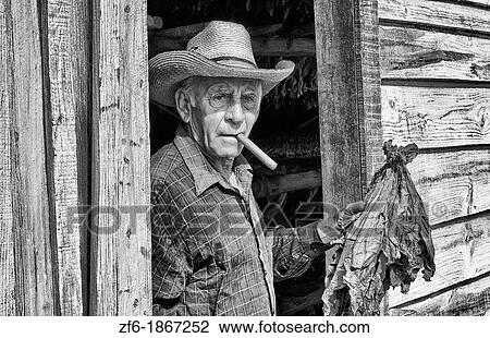 Man in front of tobacco farm house shed house in Pinar del Rio Province in rural Cuba Caribbean View Large Photo Image Stock Image - Man in front of tobacco farm house shed house in Pinar del Rio Province in rural Cuba Caribbean. Fotosearch