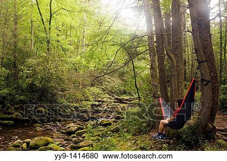Stock Image - Man in hammock by river - Pisgah National Forest, near Brevard, North Carolina. Fotosearch