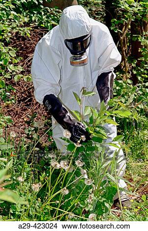 Man in protective suit. View Large Photo Image Picture - Man in protective suit.. Fotosearch