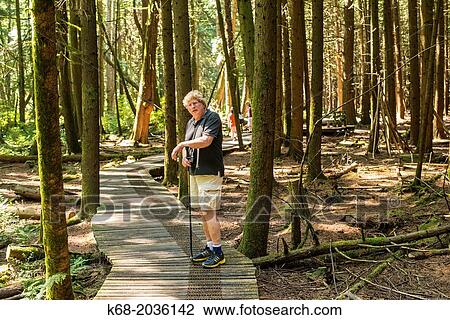 Stock Image - man in the forest at Burns Bog, Delta, BC, Canada.. Fotosearch