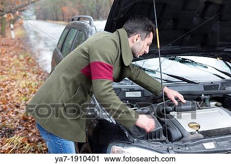 Man Looking at Car Engine View Large Photo Image Stock Image - Man Looking at Car Engine. Fotosearch