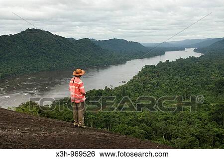 man looking at the Caura river from inselberg, Bolivarian Republic of Venezuela, South America View Large Photo Image Stock Photograph - man looking at the Caura river from inselberg, Bolivarian Republic of Venezuela, South America. Fotosearch