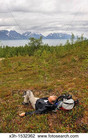 Stock Image - man lying on ground, Nordmannvikdalen valley, region of Lyngen, County of Troms, Norway, Northern Europe. Fotosearch
