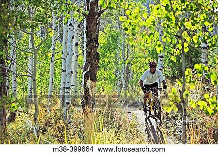 Man mount biking in Sun Valley, Idaho. USA View Large Photo Image Picture - Man mount biking in Sun Valley, Idaho. USA. Fotosearch