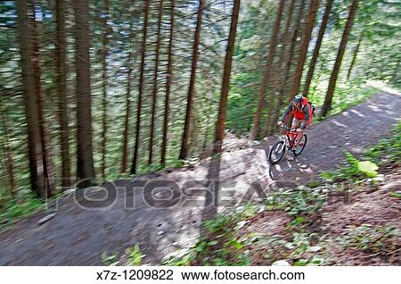 Man mountain biking at Les Grands Montets on Le Lavancher Trail above the towns of Argentiere and Chamonix France View Large Photo Image Stock Image - Man mountain biking at Les Grands Montets on Le Lavancher Trail above the towns of Argentiere and Chamonix France. Fotosearch