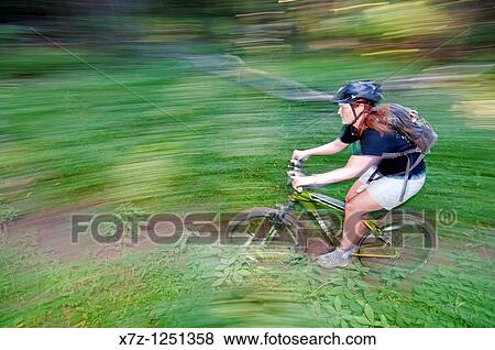 Man mountain biking the Huckleberry Bay Trail at Ponderosa State Park near Payette Lake and the city of McCall in the Salmon River Mountains of central Idaho View Large Photo Image Stock Photo - Man mountain biking the Huckleberry Bay Trail at Ponderosa State Park near Payette Lake and the city of McCall in the Salmon River Mountains of central Idaho. Fotosearch