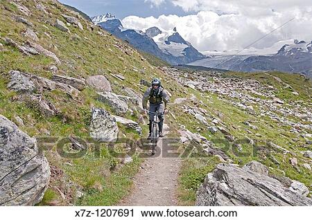 Man mountain biking the Kristallweg Trail below Rothorn Paradise in the Swiss Alps high above the town of Zermatt Switzerland View Large Photo Image Stock Image - Man mountain biking the Kristallweg Trail below Rothorn Paradise in the Swiss Alps high above the town of Zermatt Switzerland. Fotosearch