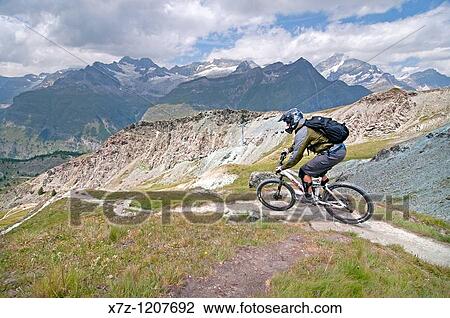 Stock Image - Man mountain biking the Murmelweg Trail above Blauherd in the Swiss Alps high above the town of Zermatt Switzerland. Fotosearch