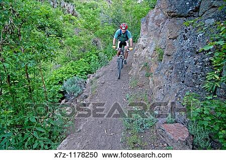 Man mountain biking the Wahlstrom Hollow Trail in the Goose Creek Mountains of southern Idaho View Large Photo Image Stock Image - Man mountain biking the Wahlstrom Hollow Trail in the Goose Creek Mountains of southern Idaho. Fotosearch