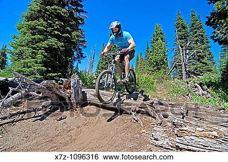 Man mountain biking The Zoro Trail at Brundage Mountain Ski Resort near the town of McCall in the Salmon River Mountains of central Idaho USA View Large Photo Image Stock Photograph - Man mountain biking The Zoro Trail at Brundage Mountain Ski Resort near the town of McCall in the Salmon River Mountains of central Idaho USA. Fotosearch
