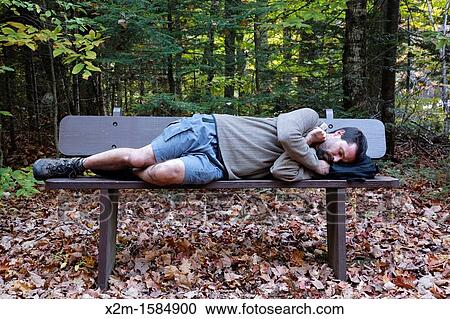 Man on bench along the Discovery Trail in the White Mountain National Forest of New Hampshire USA during the autumn months This trail is a living classroom in ecological management View Large Photo Image Stock Image - Man on bench along the Discovery Trail in the White Mountain National Forest of New Hampshire USA during the autumn months This trail is a living classroom in ecological management. Fotosearch