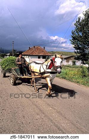 Man on horse drawn wagon with crops in Romania. View Large Photo Image Stock Image - Man on horse drawn wagon with crops in Romania.. Fotosearch