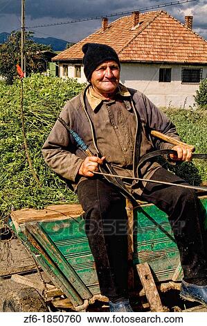 Man on horse drawn wagon with crops in Romania View Large Photo Image Stock Image - Man on horse drawn wagon with crops in Romania. Fotosearch