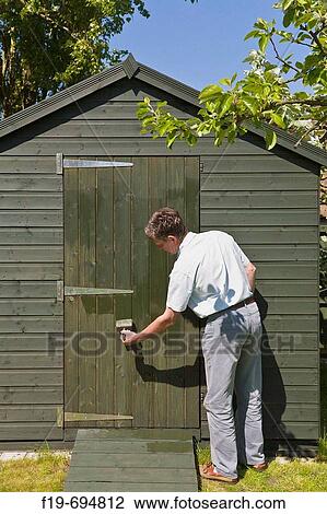 Man painting garden shed with green paint, England, UK View Large Photo Image Stock Image - Man painting garden shed with green paint, England, UK. Fotosearch