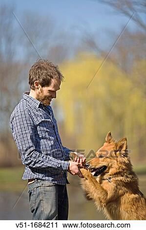 Man playing with dog in park View Large Photo Image Stock Image - Man playing with dog in park. Fotosearch