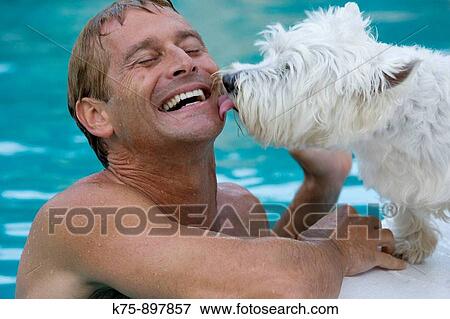 Man poolside with pet dog View Large Photo Image Stock Photo - Man poolside with pet dog. Fotosearch