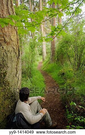 Man resting by trail - South Whidbey State Park, Washington View Large Photo Image Stock Photo - Man resting by trail - South Whidbey State Park, Washington. Fotosearch
