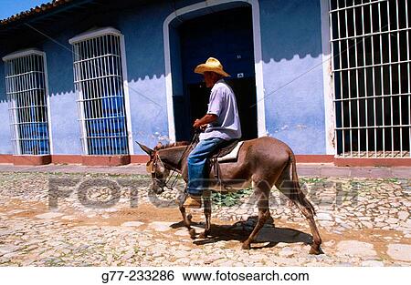 Man riding a Donkey in a street of Trinidad de Cuba. Cuba View Large Photo Image Stock Photograph - Man riding a Donkey in a street of Trinidad de Cuba. Cuba. Fotosearch