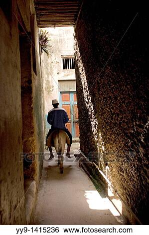 Man riding donkey down narrow streets of Lamu town - Lamu Island, Kenya View Large Photo Image Stock Photograph - Man riding donkey down narrow streets of Lamu town - Lamu Island, Kenya. Fotosearch