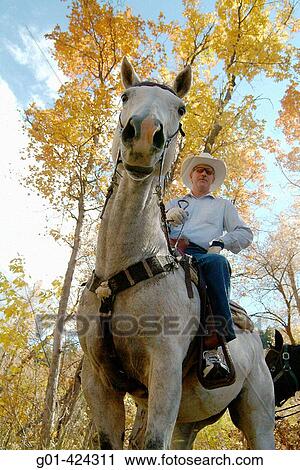 Man riding horse in the fall mountains View Large Photo Image Stock Image - Man riding horse in the fall mountains. Fotosearch