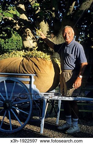man showing his production at the Tilia fair of Buis-les-Baonnies, Drome department, region of Rhone-Alpes, France, Europe View Large Photo Image Stock Photo - man showing his production at the Tilia fair of Buis-les-Baonnies, Drome department, region of Rhone-Alpes, France, Europe. Fotosearch