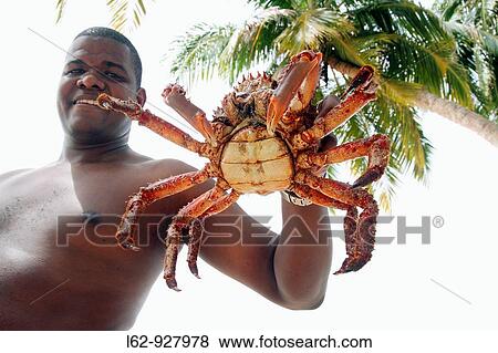 Man showing majid crab, San Blas islands, Kuna Yala, Caribbean, Panama View Large Photo Image Stock Photo - Man showing majid crab, San Blas islands, Kuna Yala, Caribbean, Panama. Fotosearch