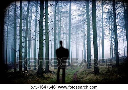 man silhouette in the forest, inspiration, View Large Photo Image Stock Photograph - man silhouette in the forest, inspiration,. Fotosearch