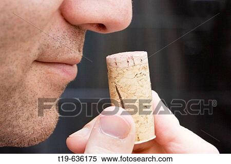 Man smelling the cork from a bottle of red wine View Large Photo Image Stock Photography - Man smelling the cork from a bottle of red wine. Fotosearch
