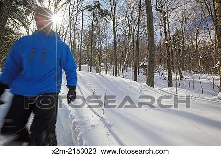 Man snowshoeing in Lafayette Brook Scenic Area in Franconia, New Hampshire USA during the winter months. View Large Photo Image Stock Image - Man snowshoeing in Lafayette Brook Scenic Area in Franconia, New Hampshire USA during the winter months.. Fotosearch