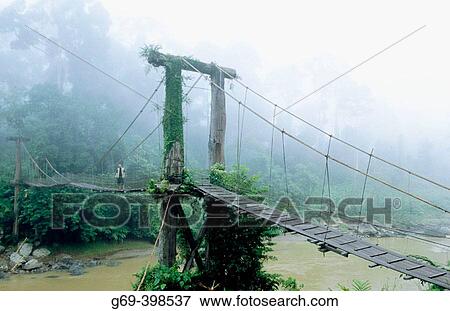Man standing on a suspension bridge that's crossing a river. Danum Valley. Borneo. Malaysia View Large Photo Image Stock Photo - Man standing on a suspension bridge that's crossing a river. Danum Valley. Borneo. Malaysia. Fotosearch