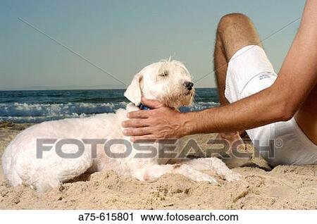 Man View Large Photo Image Stock Image - Man. Fotosearch
