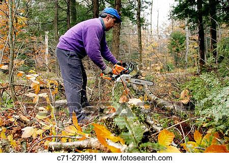 Man View Large Photo Image Stock Image - Man. Fotosearch