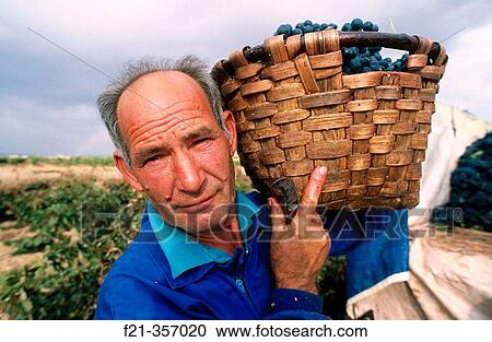Man View Large Photo Image Stock Image - Man. Fotosearch
