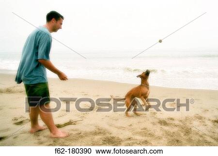 Stock Image - Man. Fotosearch