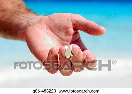 Man View Large Photo Image Stock Image - Man. Fotosearch