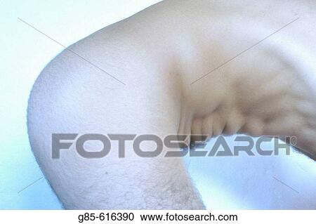 Man View Large Photo Image Stock Image - Man. Fotosearch